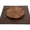 Настенный декор Phillips Collection Medallion Wall Art Amber