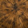 Настенный декор Phillips Collection Medallion Wall Art Amber