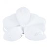 Настенный декор Phillips Collection Orchid Flower Wall Decor White