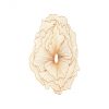 Настенный декор Phillips Collection Poppy Flower Wall Art Copper