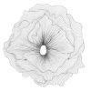 Настенный декор Phillips Collection Poppy Flower Wall Art Silver/Black