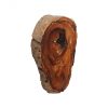 Настенный декор Phillips Collection Pradoo Burled Wood Wall Decor