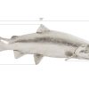 Настенный декор Phillips Collection Rainbow Trout Wall Sculpture Silver