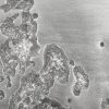 Настенный декор Phillips Collection Splotch Dense Wall Art Silver