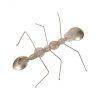 Настенный декор Phillips Collection Spoon Ant