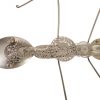 Настенный декор Phillips Collection Spoon Ant