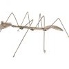 Настенный декор Phillips Collection Spoon Ant