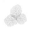 Настенный декор Phillips Collection Tri Leaf Wall Art Silver