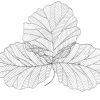 Настенный декор Phillips Collection Tri Leaf Wall Art Silver