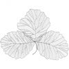 Настенный декор Phillips Collection Tri Leaf Wall Art Silver