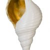 Настенный декор Phillips Collection Triton Shell Wall Art White