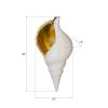 Настенный декор Phillips Collection Triton Shell Wall Art White
