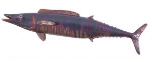 Настенный декор Phillips Collection Wahoo Fish Wall Sculpture Maroon