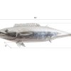 Настенный декор Phillips Collection Wahoo Fish Wall Sculpture Silver