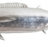 Настенный декор Phillips Collection Wahoo Fish Wall Sculpture Silver
