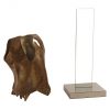 Скульптура Phillips Collection Crocodile Vest Sculpture