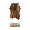 Скульптура Phillips Collection Crocodile Vest Sculpture