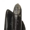 Скульптура Phillips Collection Fossilized Squid Sculpture