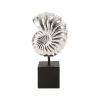 Скульптура Phillips Collection Nautilus Shell Sculpture