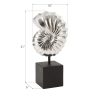 Скульптура Phillips Collection Nautilus Shell Sculpture