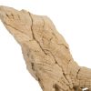 Скульптура Phillips Collection Teak Sculpture