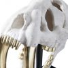 Скульптура Phillips Collection White Saber Tooth Tiger Scull Sculpture
