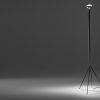 Напольная лампа FLOS Luminator Floor Lamp