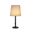 Настольная лампа Robert Abbey Rico Espinet Buster Chica Table Lamp Bronze