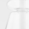 Подвесная люстра Hudson Valley Lighting Palermo 5313-BLNK