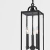 Подвесная люстра Troy Lighting Caiden F2066-FOR