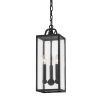 Подвесная люстра Troy Lighting Caiden F2066-FOR