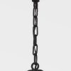Подвесная люстра Troy Lighting Caiden F2066-FOR