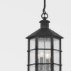 Подвесная люстра Troy Lighting Lake County F2526-FRN