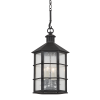 Подвесная люстра Troy Lighting Lake County F2526-FRN