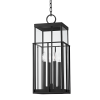 Подвесная люстра Troy Lighting Longport F6480-TBK