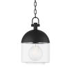 Подвесная люстра Troy Lighting Zephyr F4510-TBK