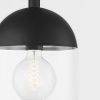 Подвесная люстра Troy Lighting Zephyr F4510-TBK