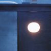 Потолочная люстра FLOS Glo-Ball Wall/Ceiling