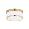 Потолочная люстра Hudson Valley Lighting Geneva