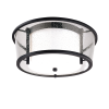 Потолочная люстра Troy Lighting Bennington