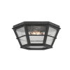 Потолочная люстра Troy Lighting Lake County