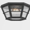 Потолочная люстра Troy Lighting Lake County