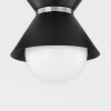 Потолочная люстра Troy Lighting Scout